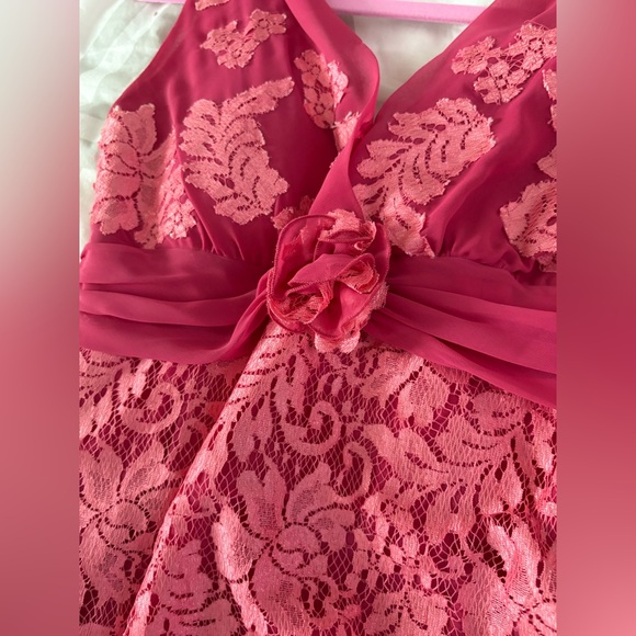 Pronovias Pink Lace Formal Dress. Size 8. - Picture 6 of 16